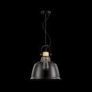 MAYTONI - Пендел  Irving  T163PL-01W (4)