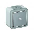 LEGRAND - Switch Plexo with indicator  IP55 - 2-way - 10 AX 250 V~ - surface mounting - grey  69710
