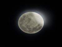 TRIO - LUNAR – 627514000 (6)