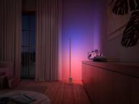 PHILIPS - Градиентно стоящо осветително тяло за под Signe 8718696176252 (2)