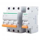 SCHNEIDER ELECTRIC - 20461 E60N 3P 32A C (1)