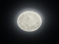 TRIO - LUNAR – 627514000 (2)