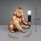 TRIO - KONG – R56611079 excl. 1x E14 · max. 10W (3)