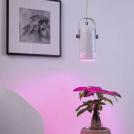 PAULMANN - Pendant 79767 Neordic Lavea E27⚡1 х max. 15W✴White (8)