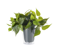TRIO - decoration  PLANT 92945