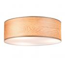 PAULMANN - Ceiling lamp Neordic Liska 796.50 (1)