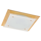 RABALUX - Ceiling lamp June 3034