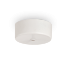 IDEAL LUX - ceiling cup ROSONE MAGNETICO 1 LUCE BIANCO  244235