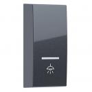 ACA LIGHTING - MODYS BUTTON WITH INDICATOR & LIGHT SYMBOL 1M. ANTHRACITE 10101333051