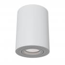MAYTONI - Ceiling Lamp Alfa C016CL-01W 