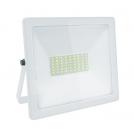 ACA LIGHTING - LED floodlight 50W, 6000K, 220V, IP66, cold light Q5060W