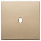 VIMAR - Plate 2Mx1 Vintage satin gold - 22672.1.88