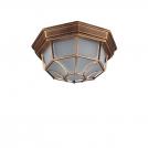 TNL -  Outdoor ceiling lights Spider IP54 SMALL antique gold