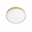 SMARTER - Ceiling Lamp KNOB 05-932 mat golden, opal LED 36W 3000K-6500K