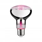 PAULMANN - LED bulb for plants   28733    Grow Green Edition Filament 230V LED Reflector ⚡ E27 ⚡ R80 ⚡ 200lm ⚡ 6.5W ⚡ 1300K ✴ Silver