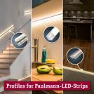PAULMANN - 70263 LED Strip Profile Delta Connector Cover Pack of 4✴Satin (3)