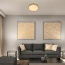 RABALUX - Ceiling lamp TESIA 71037 LED 36W 2300lm 3000K
