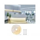 PAULMANN - 71041  MaxLED 500 LED Strip Tunable White Single stripe incl. adapter cable 20m⚡72W⚡550lm/m⚡60 LEDs/m 