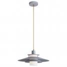 RABALUX - Пендел CAMERON E27 1X40W 4313