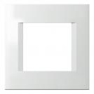 TEM - OL20MW Frame 2M, color White matt, Modul