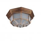 TNL - Outdoor ceiling lights Spider IP54 BIG antique gold