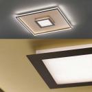 Fischer And Honsel - ceiling luminaire  BUG  20639