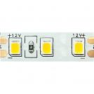 ACA LIGHTING - LED STRIP 25M 9.6W/M 1130LM/M 12V DC IP20 6500K Ra80 8mm 122835966525M