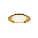 FARO - SIDE LED Black/copper ceiling lamp 15W Ref.62143