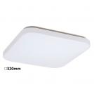RABALUX - Ceiling lamp   ROB  3344  LED / 32W, 2600lm, 3000K