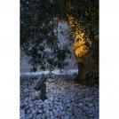 FARO - SPY-1 Dark grey post lamp Ref.70782 IP65 (1)