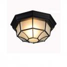 TNL - Outdoor ceiling lights Spider IP54 SMALL (1)