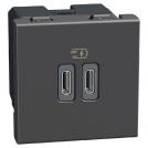 BTICINO - Socket 2xUSB for charging type C+C 3A 30W 2M color Graphite Light Now YD4293CC