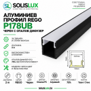 ACA LIGHTING - REGO Black profile with opal diffuser 2m P178UΒ
