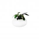 AZZARDO - Flora AT6118-3L 