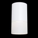 MAYTONI - Ceiling Lamp Pauline C007CW-01W (1)