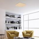 RABALUX - CEILING LIGHTS motion sensor  VENDEL 75015 LED 24W 1460lm 4000K  (2)