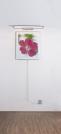 PAULMANN - Wall lamp Galeria Wolbas 990.77 (2)