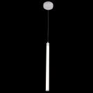 MAYTONI - Pendant Lamp Ray P021PL-L10W (3)