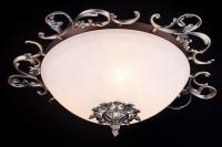 MAYTONI - Speria C900-CL-03-R  (2)