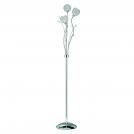 SEARCHLIGHT - EU3573CC Bellis II