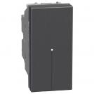 BTICINO - 2-way switch 1M axial color Graphite Light Now YD4053A
