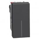 BTICINO - 2-way switch 1M color Graphite Light Now YD4003A