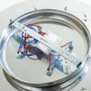 NOWODVORSKI - Ceiling lamp SALVA E 5428 • 5 x 10W • GU10 • IP20 (3)