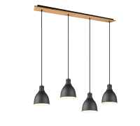 TRIO - Пендел  HENLEY 310700432 E27, 4X40W