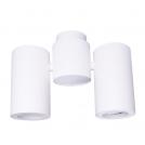 MAXLIGHT - Spot Barro C0113 ,2 x 50W GU10 230V (1)