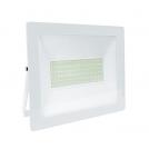 ACA LIGHTING - LED floodlight 100W, 6000K, 220V, IP66, cold light Q10060W