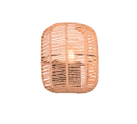 TRIO - wall luminaire RUNA 203000132 E27, 60W