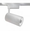 MAYTONI - LED Прожектор за релсов монтаж TRACK LAMPS TR003-1-40W3K-W  LED 40W, 3200LM, 3000K