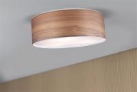 PAULMANN - Ceiling lamp Neordic Liska 796.87 (3)