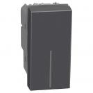 BTICINO - 2-pole switch 16A 1M color Graphite Light Now YD4002